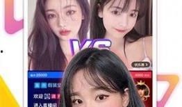 小鸡直播爆料视频大全最新,揭秘热门视频背后的精彩故事